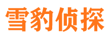 桥西私家调查公司